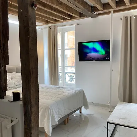 Apartment Comfortable Place Des Vosges - Marais Paris